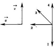 На рисунке представлены 4 вектора